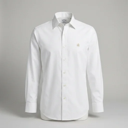 Brooks Brothers Non-Iron Dress Shirt